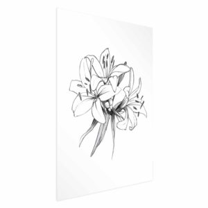 Poster - Drawn Flowers