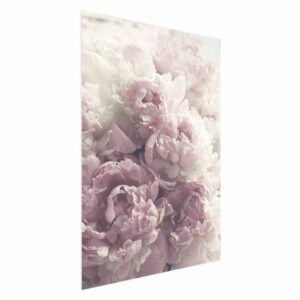 Poster - Delicate Peonies