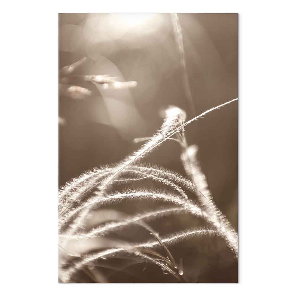 Leinwandbild - Fluffy Grass (1 Part) Vertical – Bild 2