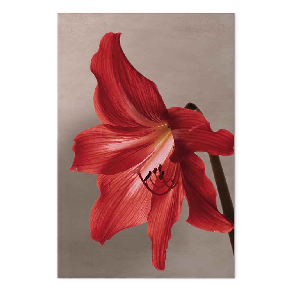 Leinwandbild - Red Flower (1 Part) Vertical – Bild 2