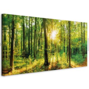 Leinwandbild - Magic Forest