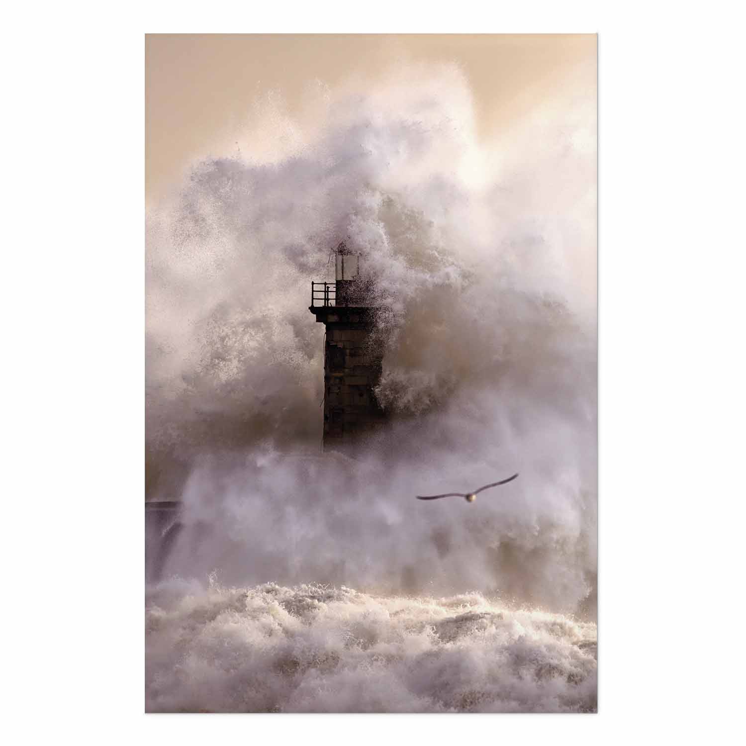 Poster - Storm – Bild 2