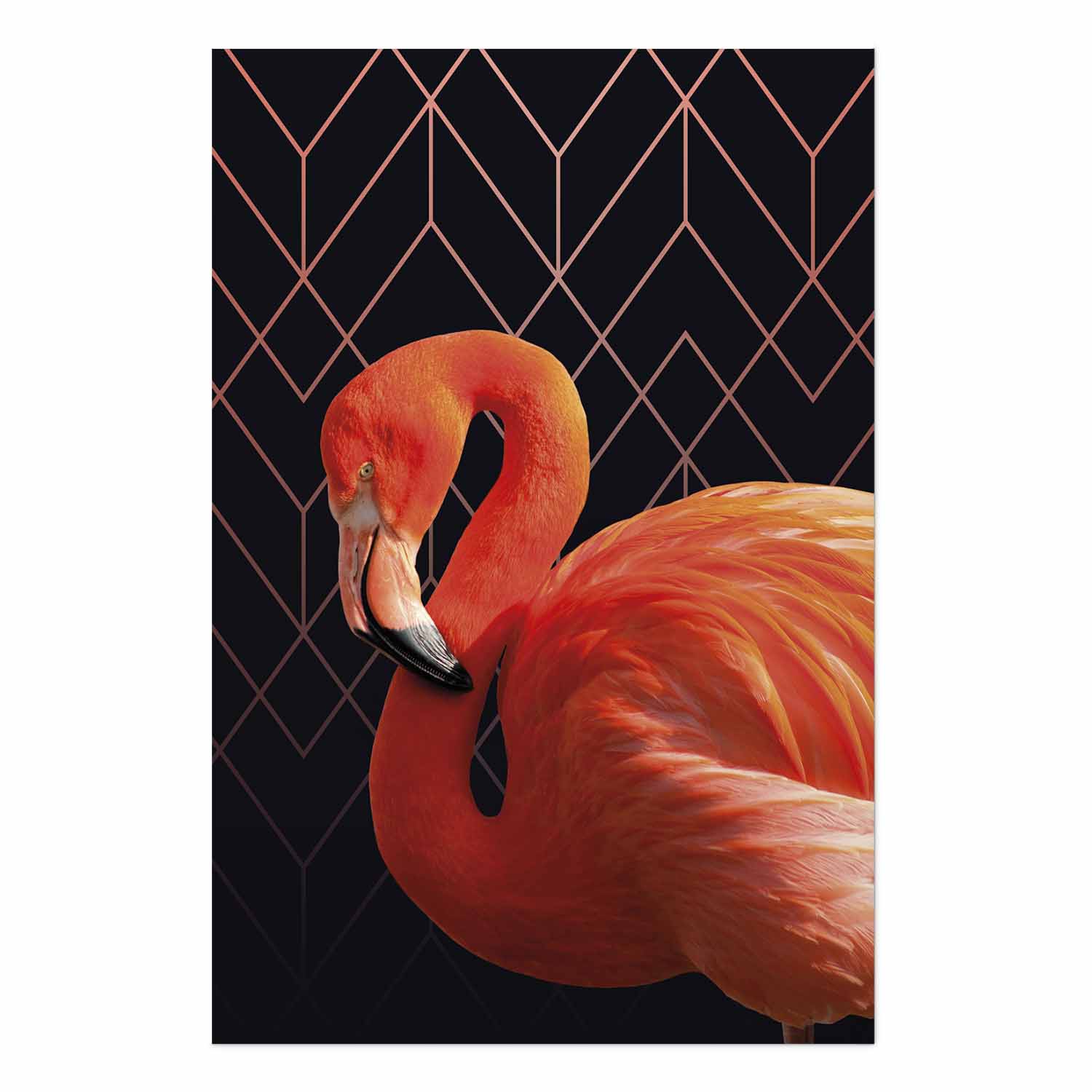 Poster - Flamingo Solo – Bild 2