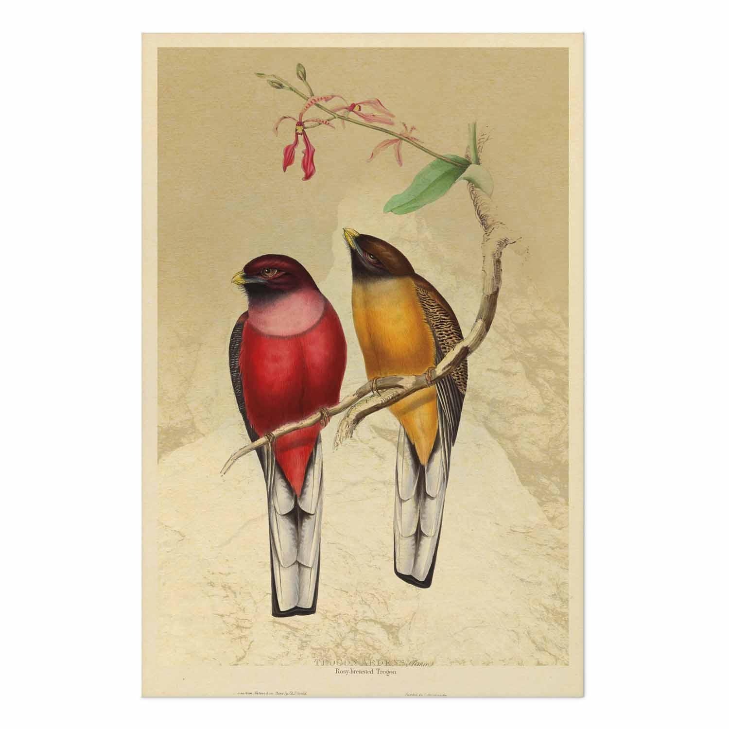 Poster - Birds on a Branch – Bild 2
