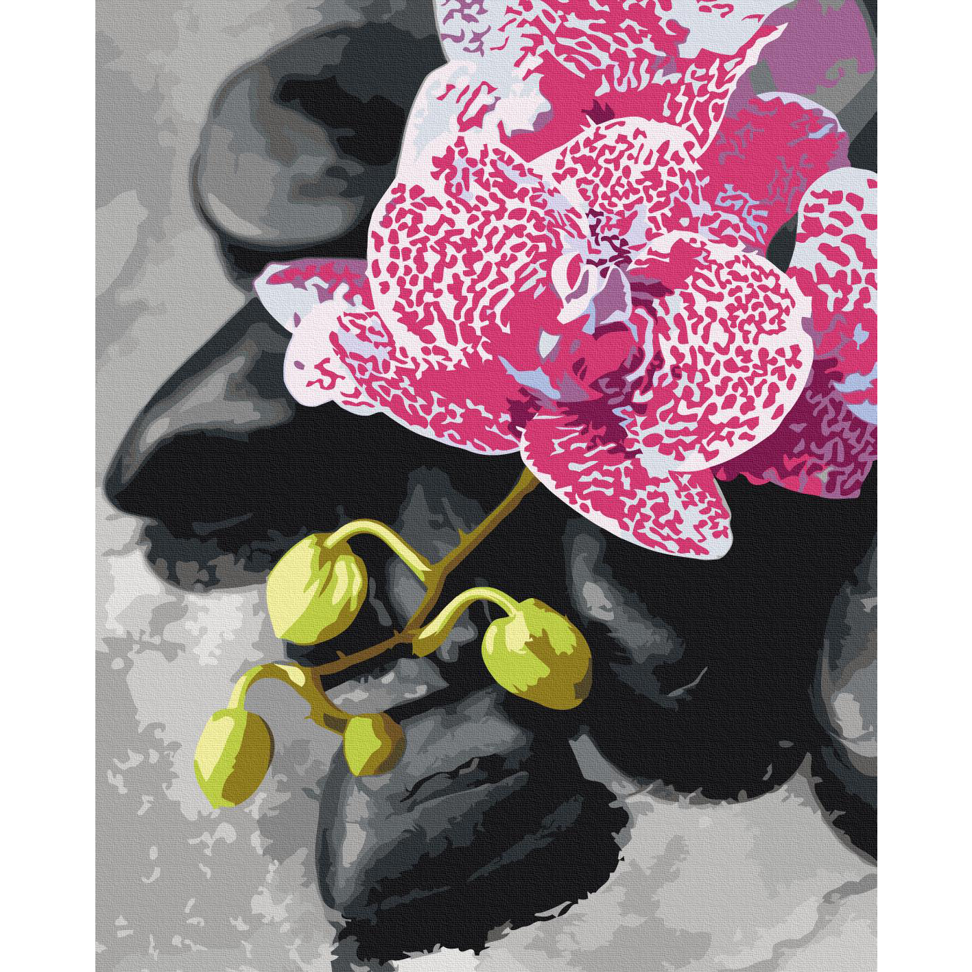 Malen nach Zahlen - Pink Orchid – Bild 2