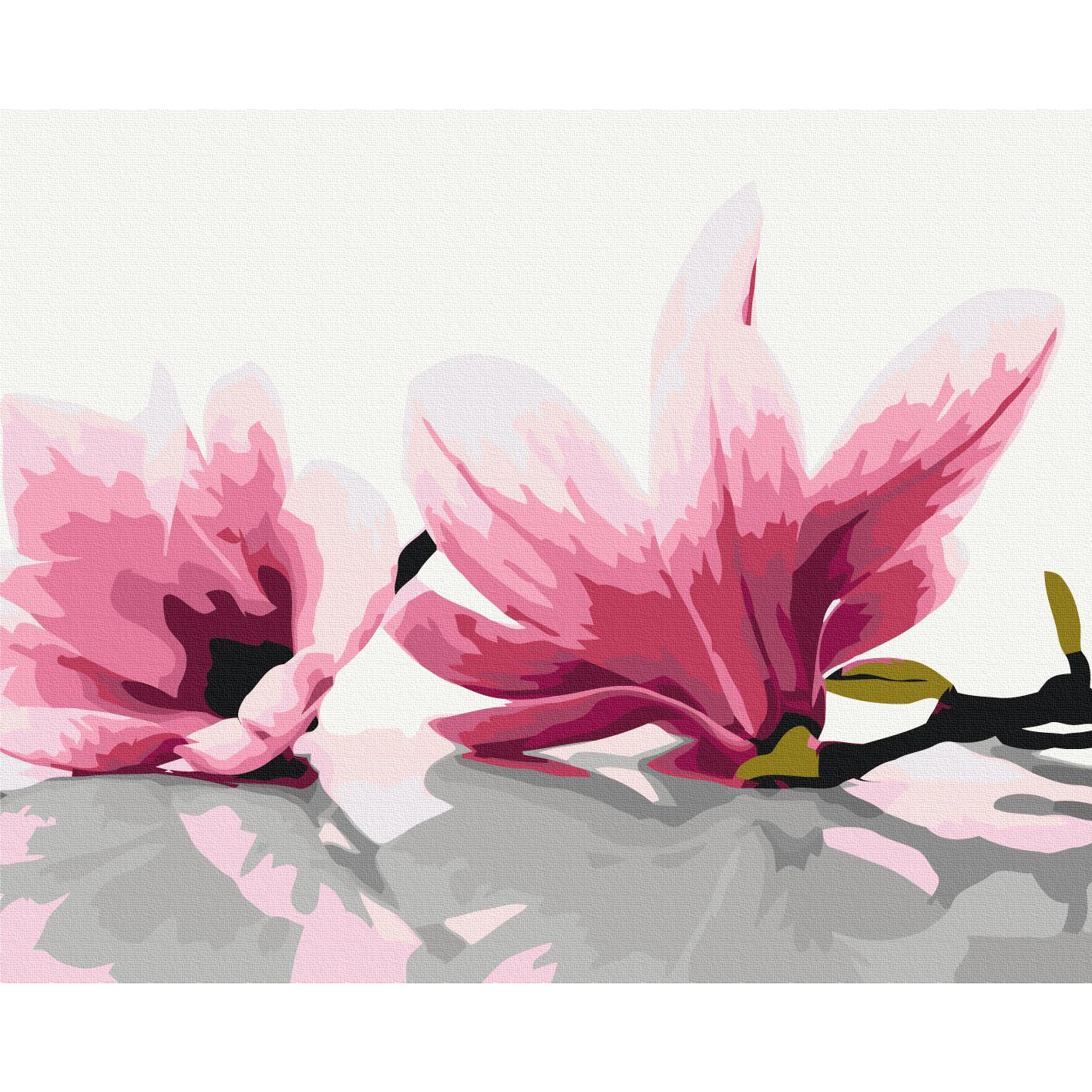 Malen nach Zahlen - Magnolia (White Background) – Bild 2