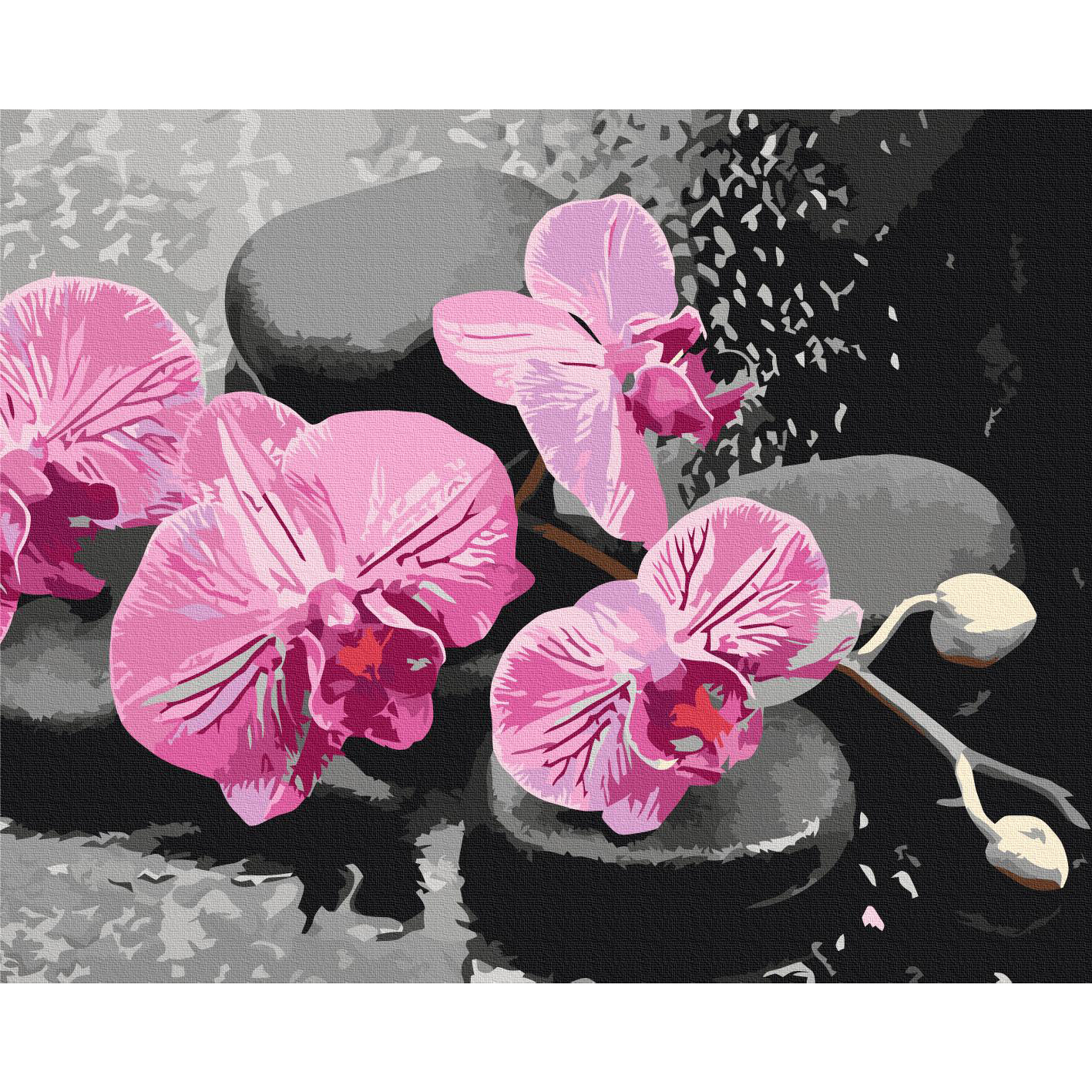 Malen nach Zahlen - Orchid With Zen Stones (Black Background) – Bild 2