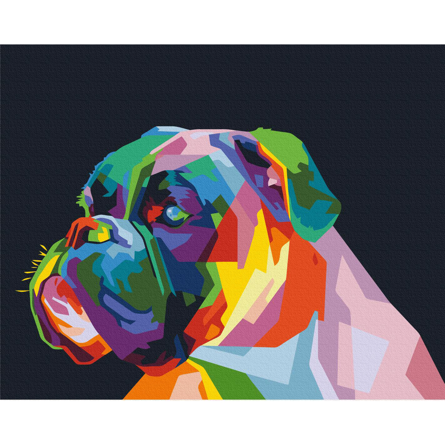 Malen nach Zahlen - Colourful Boxer – Bild 2