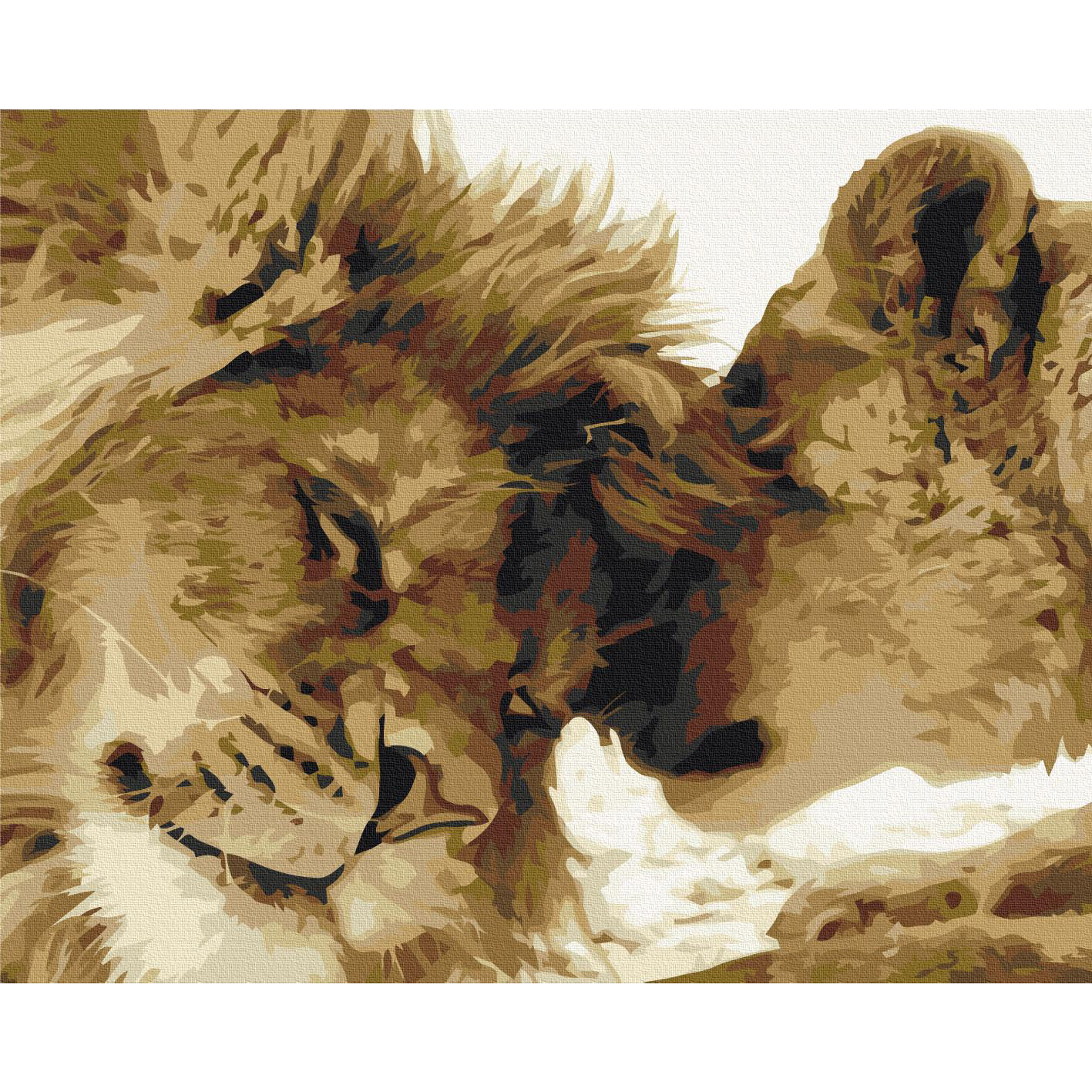 Malen nach Zahlen - Cold Owl – Bild 2