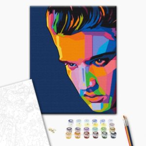Malen nach Zahlen - Colourful Elvis